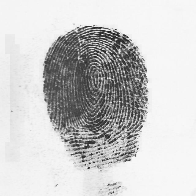 右手無名指